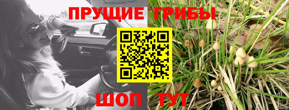 Псилоцибиновые грибы мицелий Алушта