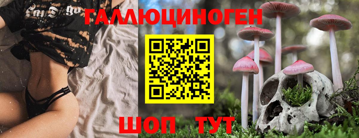 Алушта  Галлюциногенные грибы Magic Shrooms  Вход с VPN 